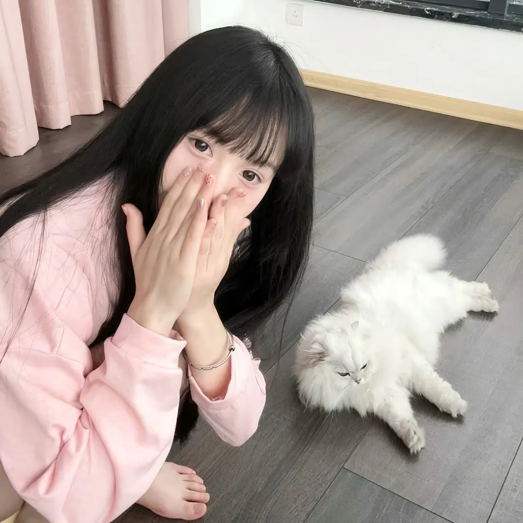 东京晚秋